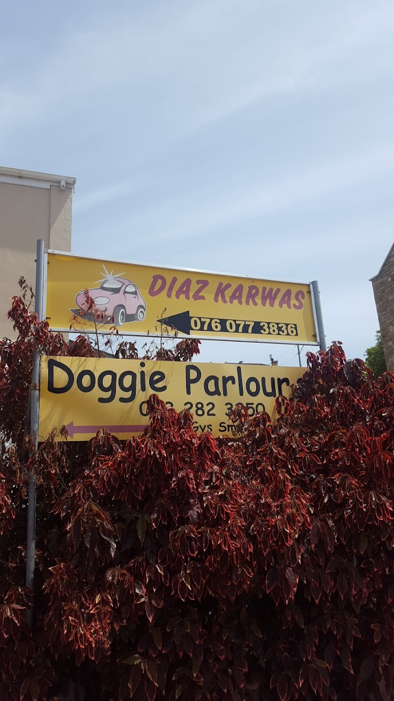 Diaz Karwas